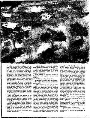 BLANCO Y NEGRO MADRID 31-10-1959 página 70