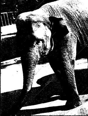 BLANCO Y NEGRO MADRID 31-10-1959 página 74