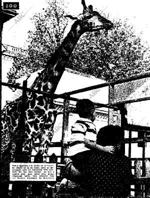 BLANCO Y NEGRO MADRID 31-10-1959 página 76