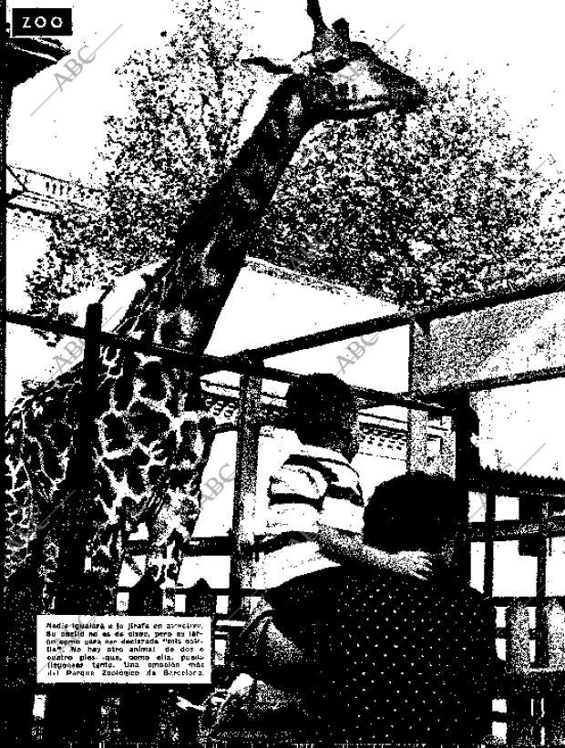 BLANCO Y NEGRO MADRID 31-10-1959 página 76