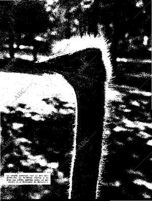 BLANCO Y NEGRO MADRID 31-10-1959 página 77