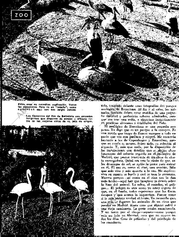 BLANCO Y NEGRO MADRID 31-10-1959 página 78