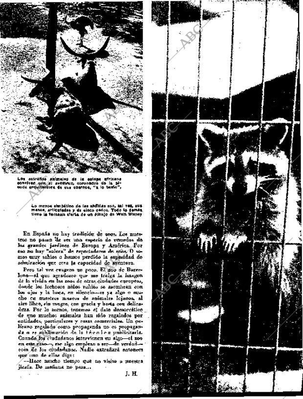 BLANCO Y NEGRO MADRID 31-10-1959 página 79