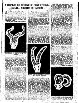 ABC SEVILLA 03-11-1959 página 7