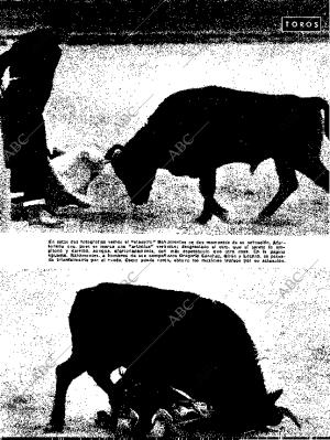 BLANCO Y NEGRO MADRID 14-11-1959 página 80