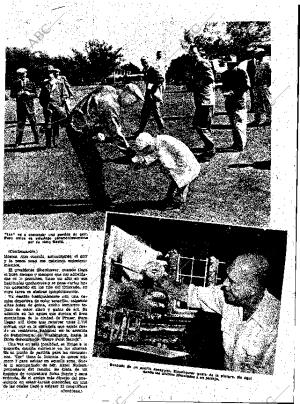 ABC MADRID 10-12-1959 página 19