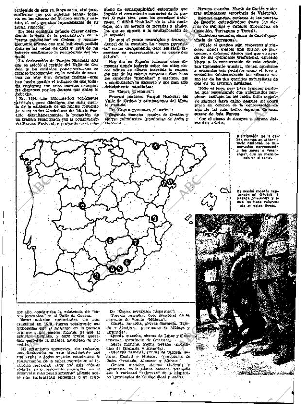 ABC MADRID 19-12-1959 página 33
