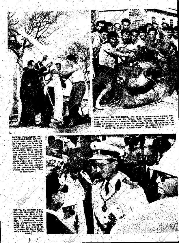 ABC MADRID 26-12-1959 página 13