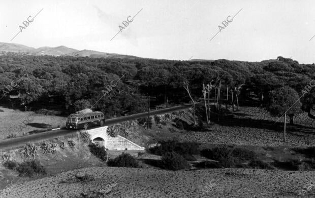 Carretera del pueblo de Elviria (Málaga)