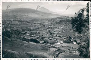 Vega de la laguna con el Teide al fondo desde el monte de las Mercedes -foto A....