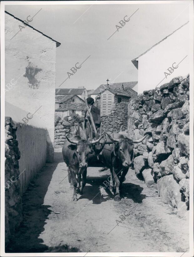 Provincia de la Coruña: carro de Bueyes y Hórreos en el pueblo de Bares (estaca...