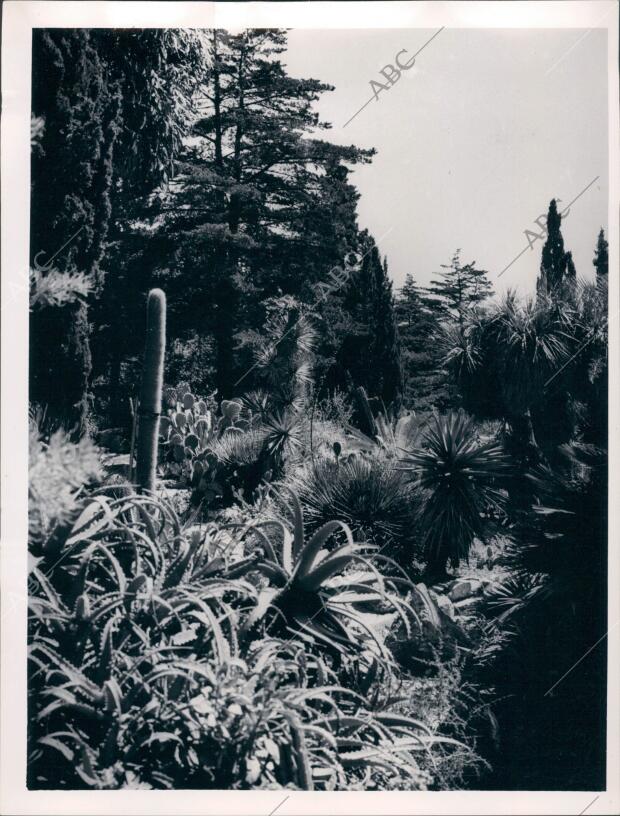 Jardín botánico de Blanes