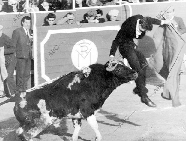 Una cogida del cordobés