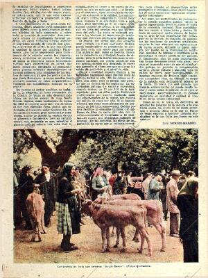 ABC SEVILLA 10-01-1960 página 13