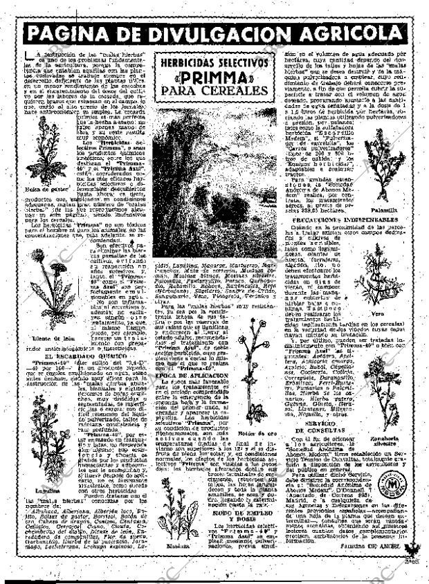 ABC MADRID 10-02-1960 página 11