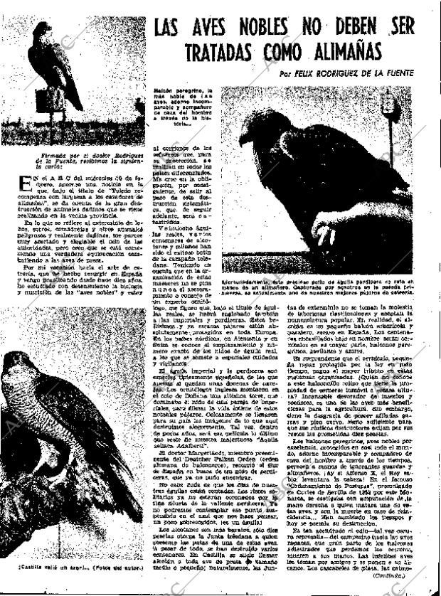 ABC MADRID 02-03-1960 página 19