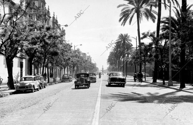 Calle san Fernando