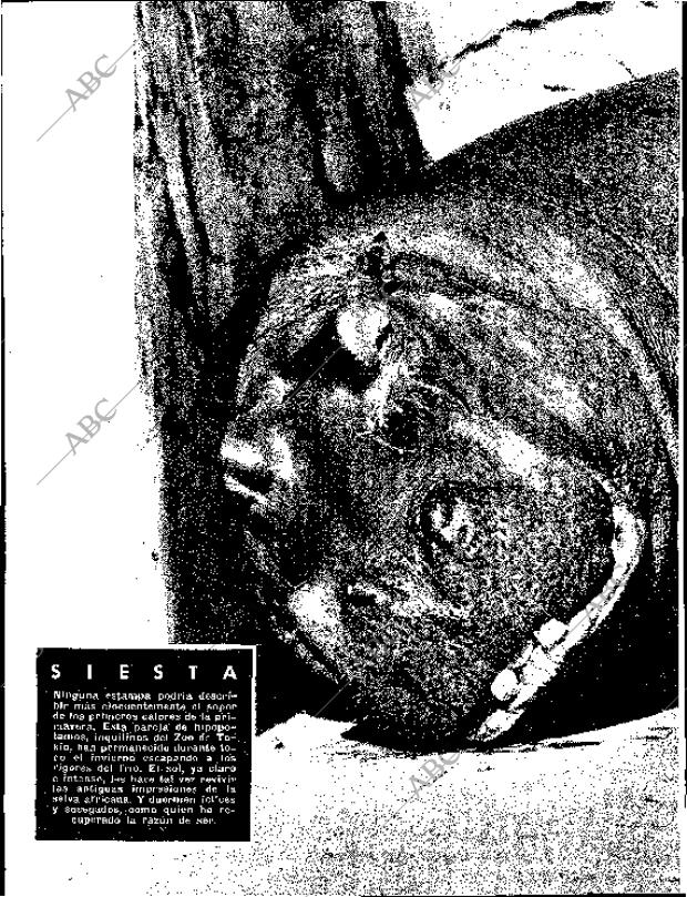 BLANCO Y NEGRO MADRID 16-04-1960 página 32
