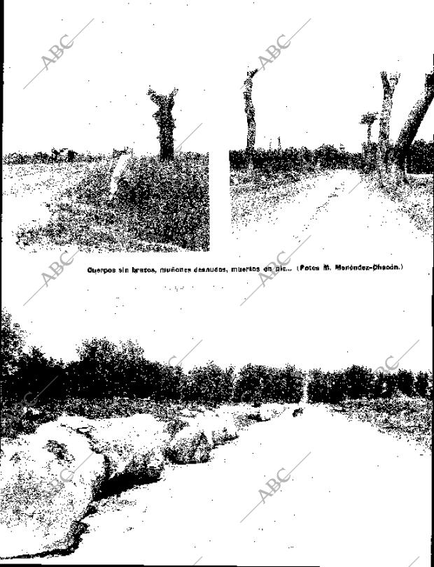 BLANCO Y NEGRO MADRID 07-05-1960 página 11
