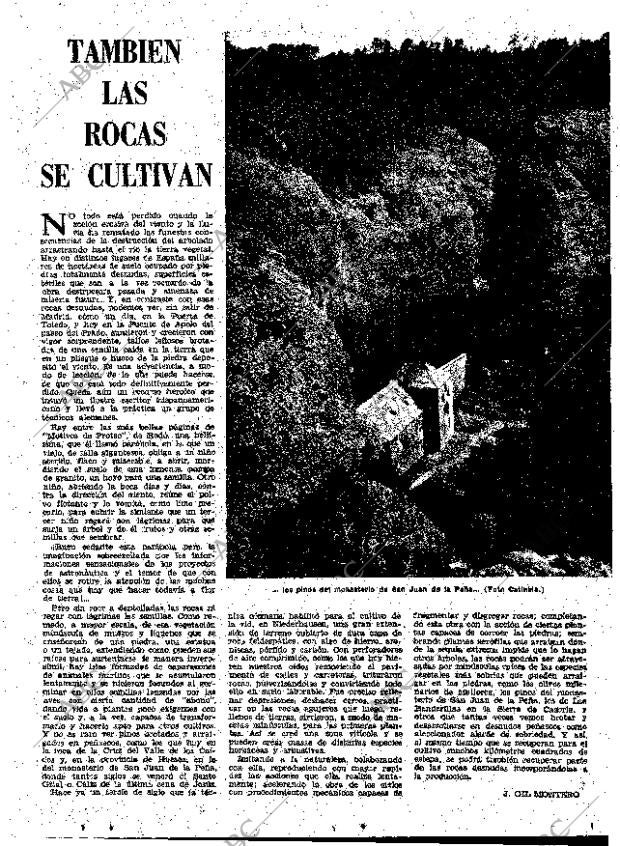 ABC MADRID 09-06-1960 página 35
