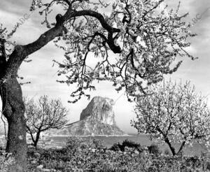 El peñón de Ifach, en gloriosa vecindad con una naturaleza apacible y Pródiga