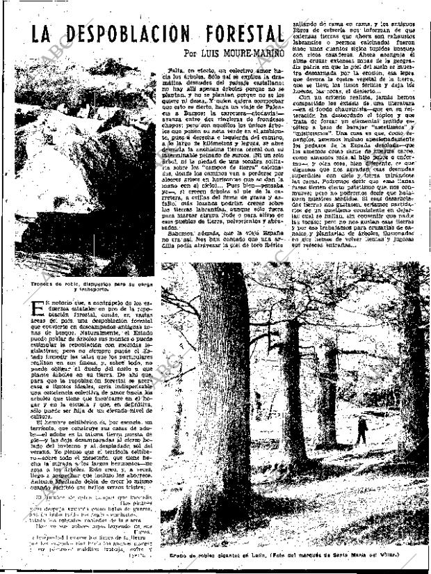 ABC SEVILLA 02-07-1960 página 11