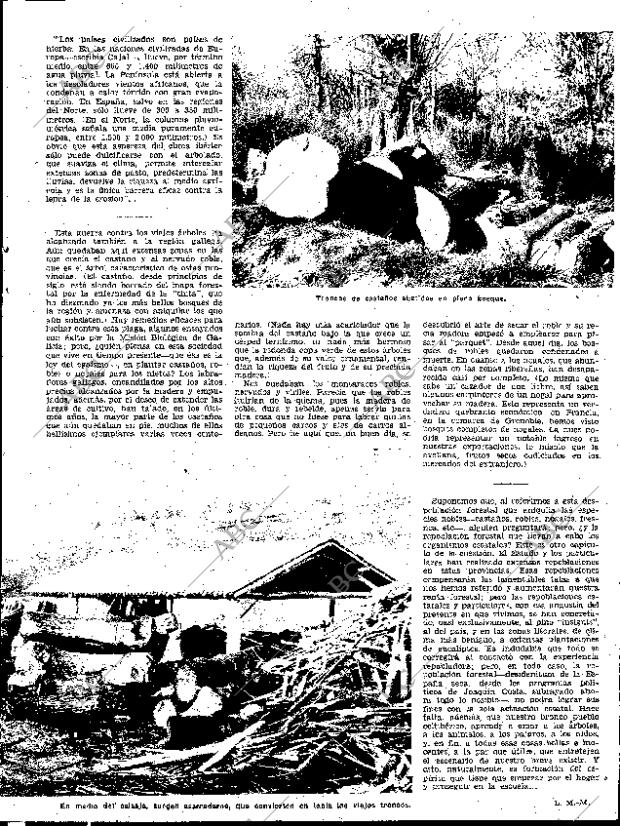 ABC SEVILLA 02-07-1960 página 13