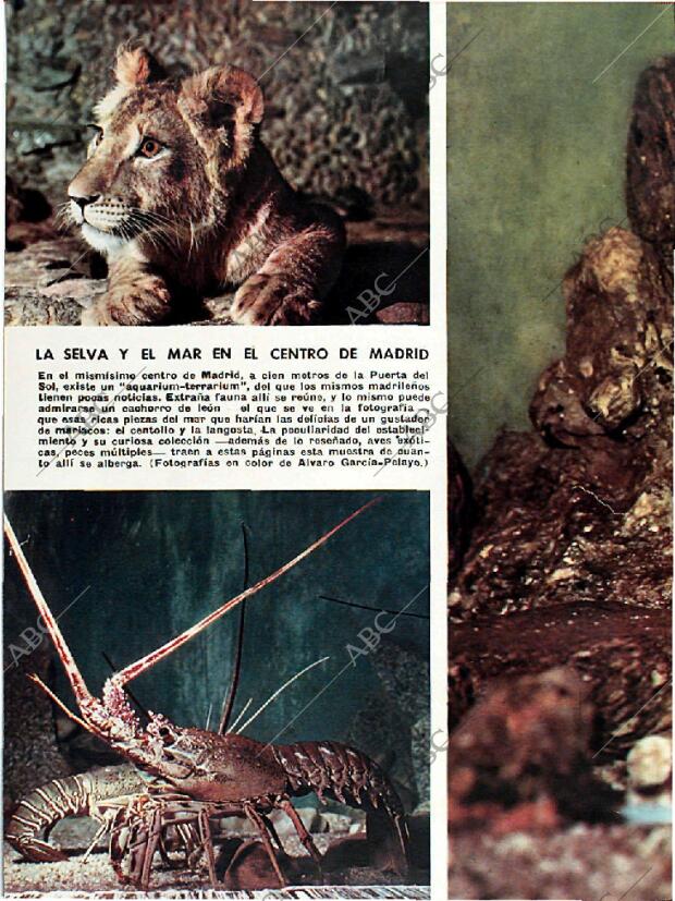 BLANCO Y NEGRO MADRID 16-07-1960 página 38