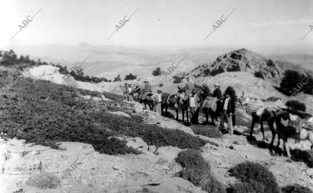 Entrada al bosque de Pinsapos de la Cañada de las Animas, en la vertiente de...