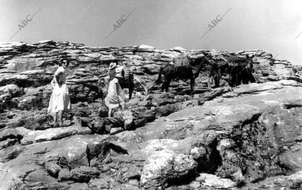 Escolares del tajo de la Caina, en el camino hacia la Torrecilla y el Pilar en...