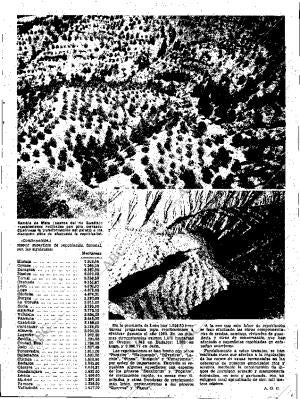 ABC SEVILLA 10-08-1960 página 7