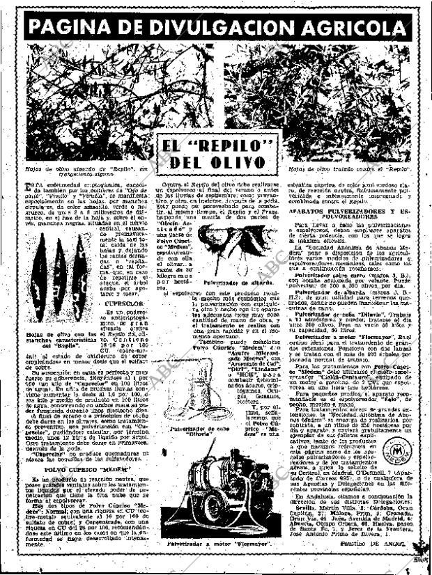 ABC SEVILLA 14-08-1960 página 33