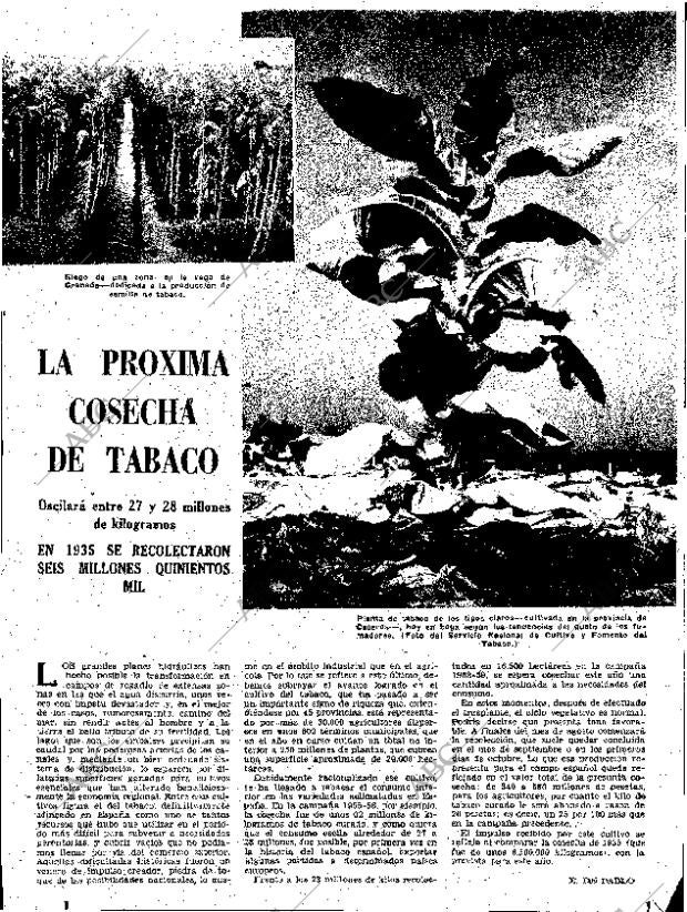 ABC SEVILLA 14-08-1960 página 35