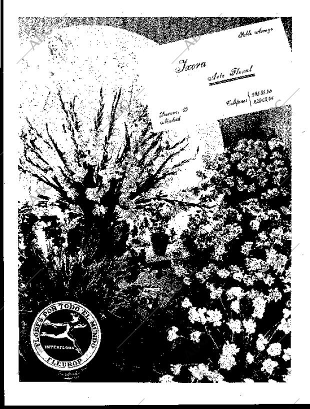 BLANCO Y NEGRO MADRID 15-10-1960 página 15