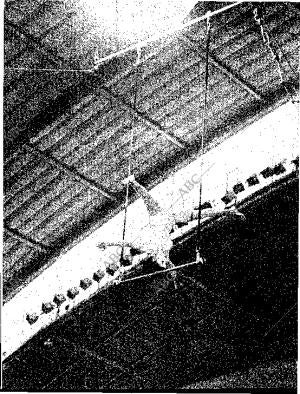 BLANCO Y NEGRO MADRID 22-10-1960 página 43