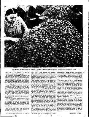 ABC SEVILLA 05-11-1960 página 37