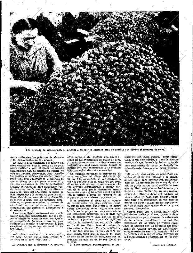 ABC SEVILLA 05-11-1960 página 37