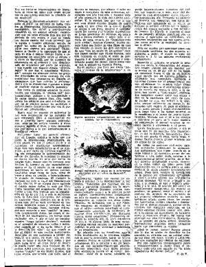 ABC SEVILLA 06-11-1960 página 39