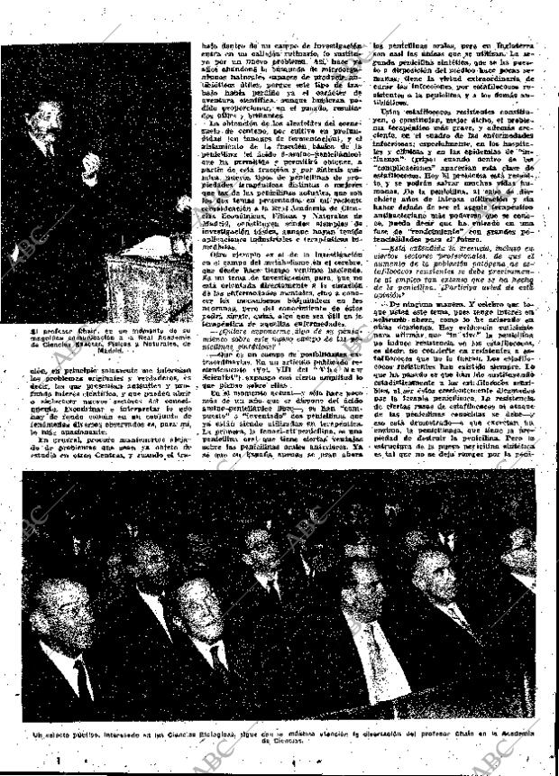 ABC MADRID 12-11-1960 página 19