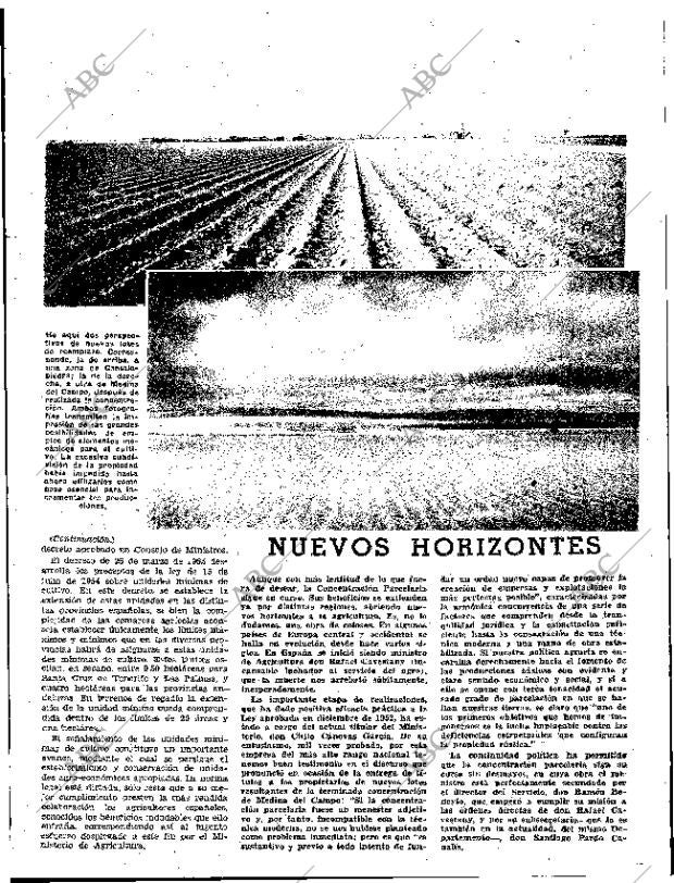 ABC SEVILLA 12-11-1960 página 19