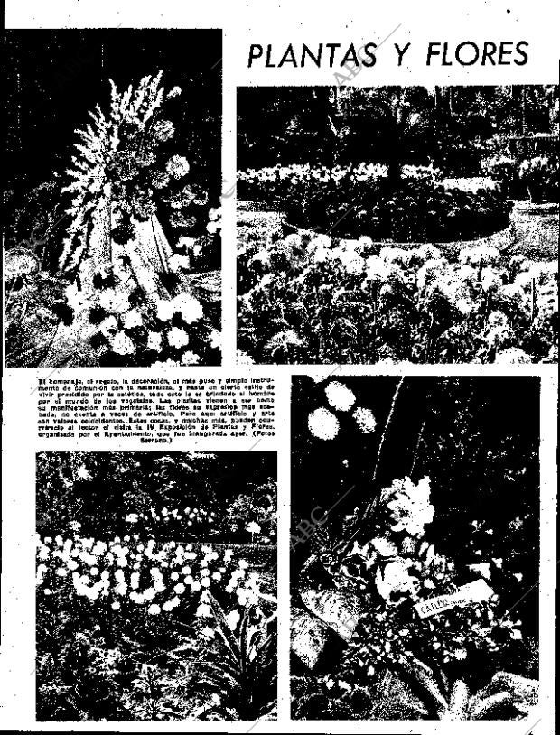 ABC SEVILLA 12-11-1960 página 9