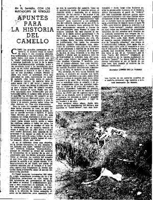 ABC SEVILLA 17-11-1960 página 13