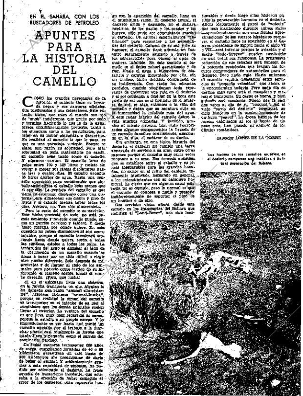 ABC SEVILLA 17-11-1960 página 13