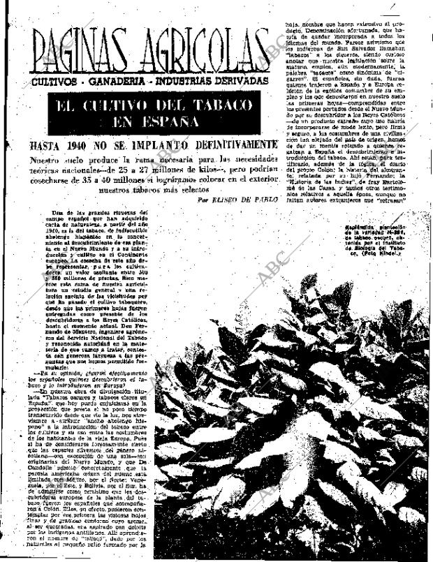 ABC SEVILLA 19-11-1960 página 21