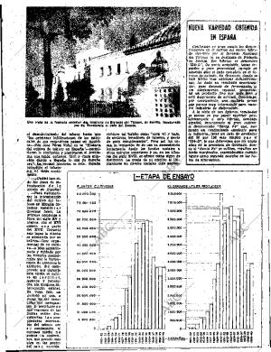 ABC SEVILLA 19-11-1960 página 23