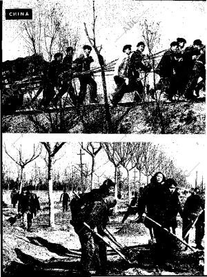 BLANCO Y NEGRO MADRID 26-11-1960 página 96