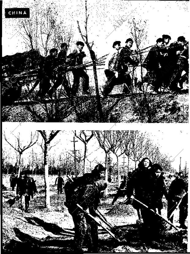 BLANCO Y NEGRO MADRID 26-11-1960 página 96