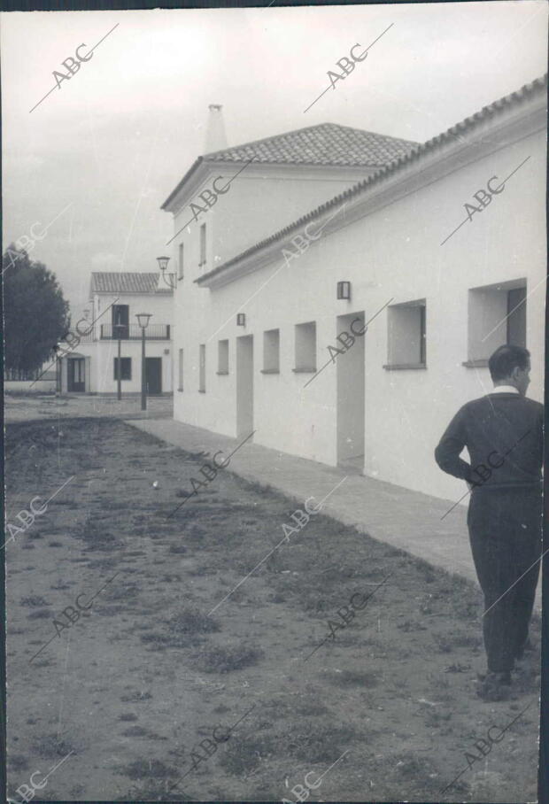 Un aspecto de la Granja-escuela sindical de colonización de Marmolejo Inaugurada...