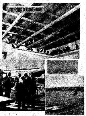 ABC MADRID 14-01-1961 página 29