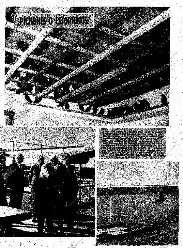 ABC MADRID 14-01-1961 página 29